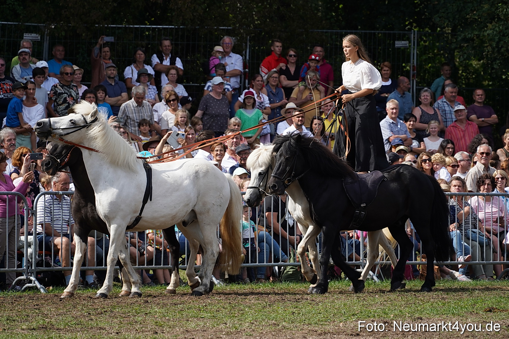 Pferde und Fohlenschau 2022 0270 